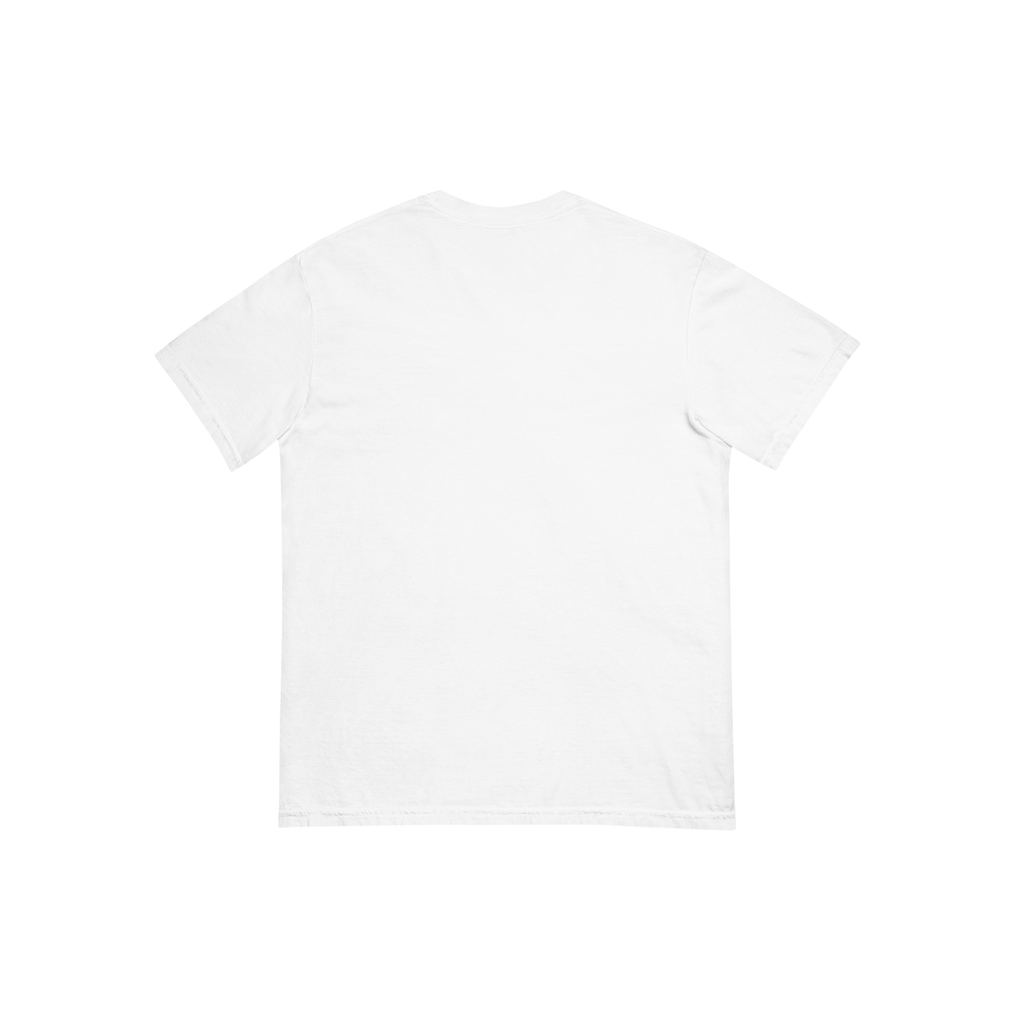 Unisex Oversized heavyweight t-shirt